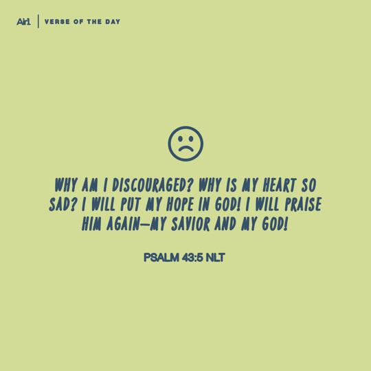 Why am I discouraged? Why is my heart so sad? I will put my hope in God! I will praise Him again—my Savior and my God!