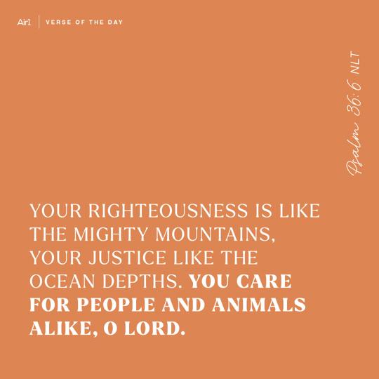 Your righteousness is like the mighty mountains, your justice like the ocean depths. You care for people and animals alike, O Lord.