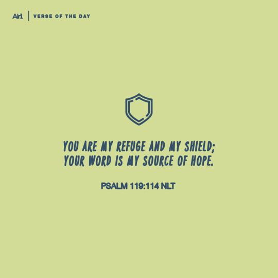 You are my refuge and my shield; Your word is my source of hope.