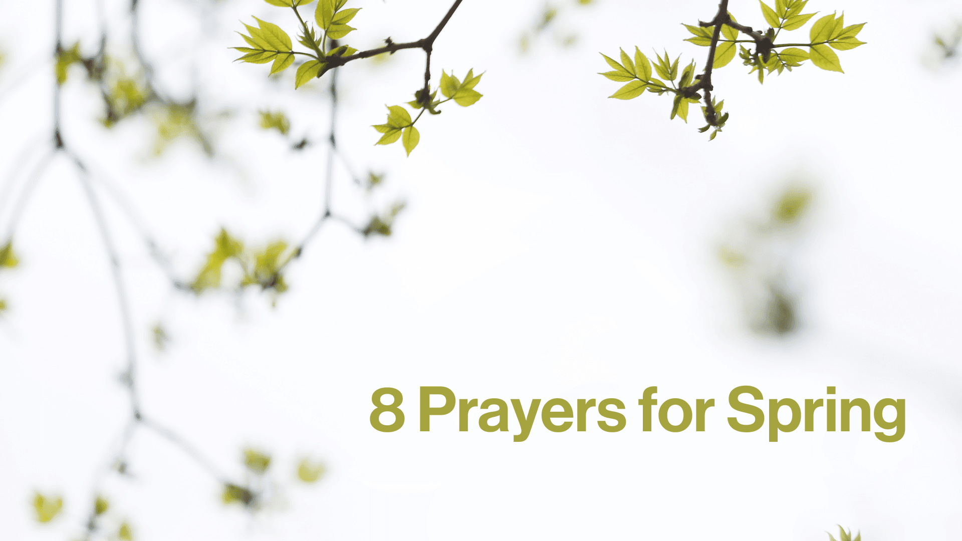 8 Prayers for Spring Image
