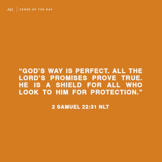 “God’s way is perfect. All the Lord’s promises prove true. He is a shield for all who look to him for protection."