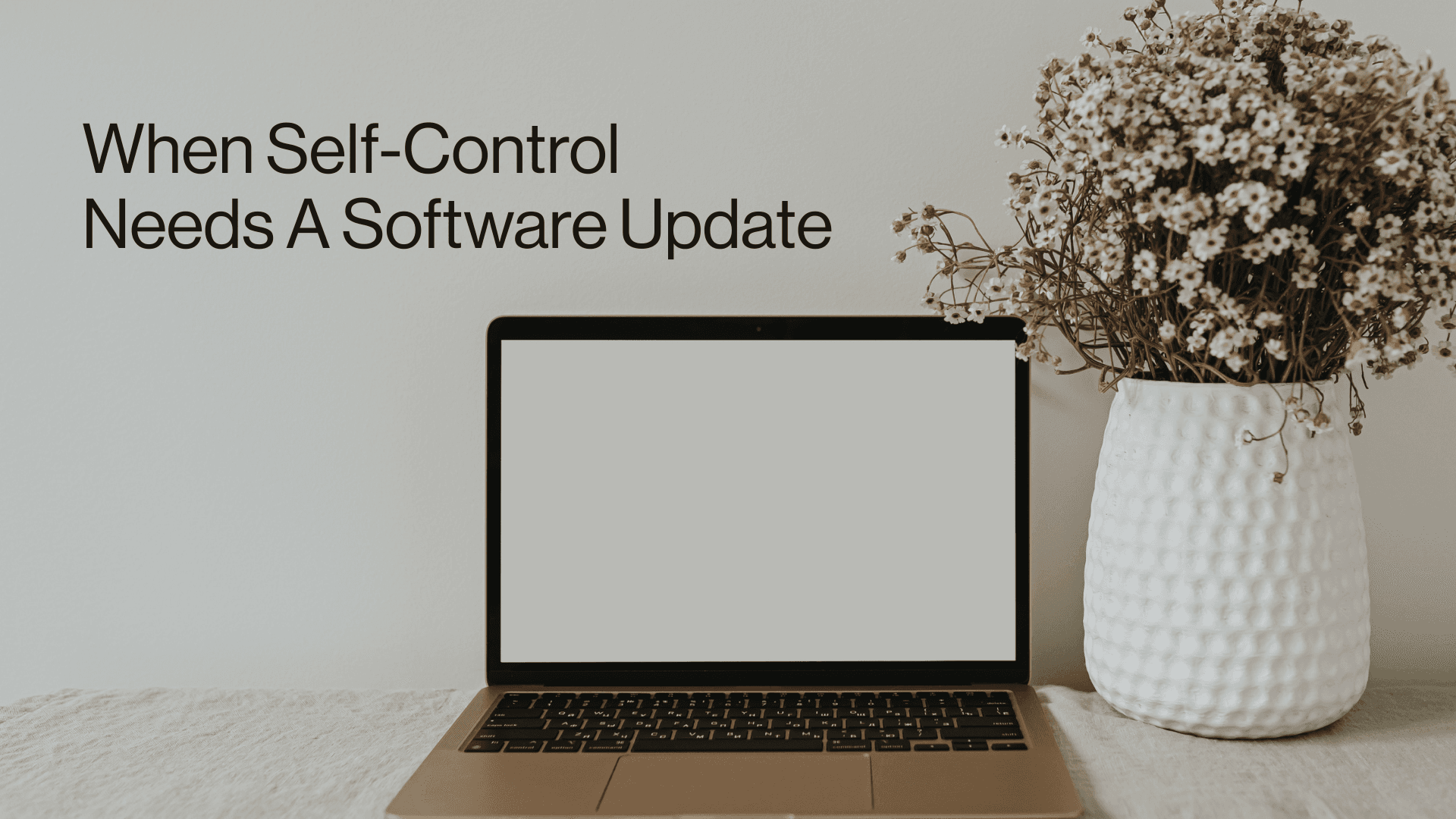 When Self-Control Needs a Software Update Image