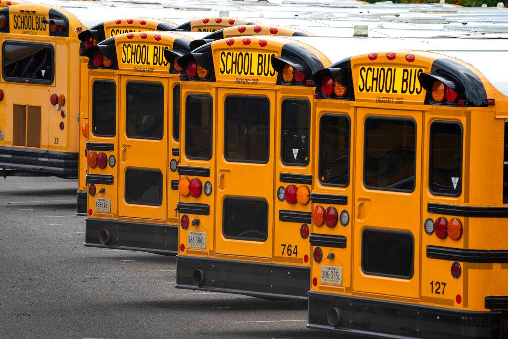 school buses 