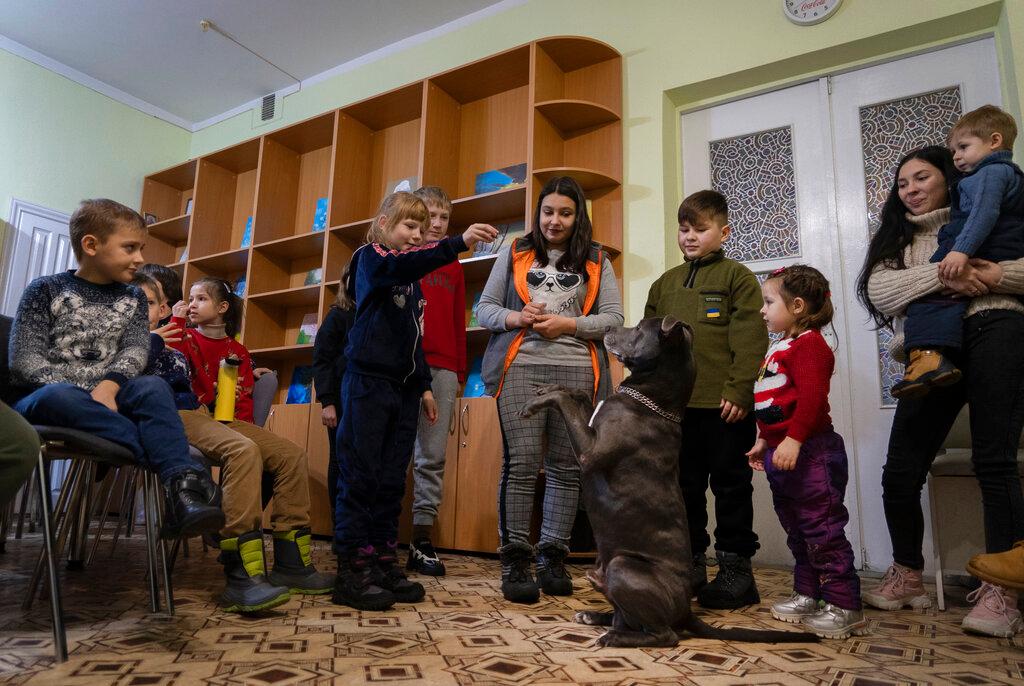 Children traumatized by the war play with an American Pit Bull Terrier "Bice" in the Center for Social and Psychological Rehabilitation in Boyarka close Kyiv, Ukraine